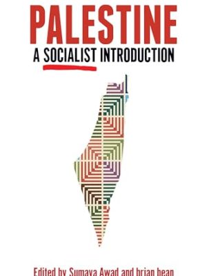 Palestine: A Socialist Introduction : A Socialist Introduction