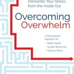 Overcoming Overwhelm : Dismantle Your Stress from the Inside Out
