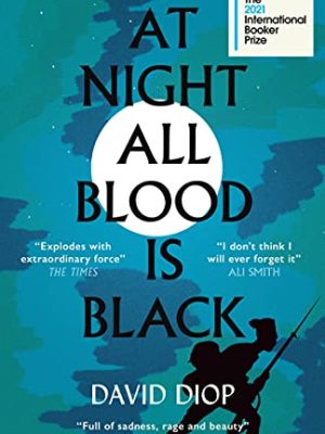 At Night All Blood is Black : WINNER OF THE INTERNATIONAL BOOKER PRIZE 2021