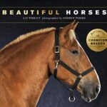 Beautiful Horses: Portraits of champion breeds