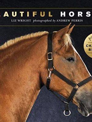 Beautiful Horses: Portraits of champion breeds