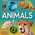 How It Works: Animals