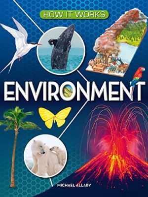 How It Works: Environment