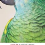 Specially Priced Vintage Classics: Treasure Island