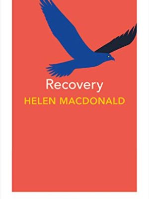 Vintage Minis: Recovery