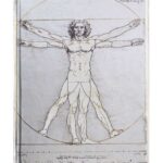 Leonardo Da Vinci Vituvian Man