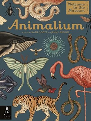 Animalium