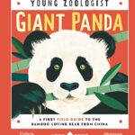 Giant Panda