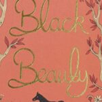 WordsWorth Collector's Editions Hardbacks: Black Beauty