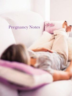 Paperstyle Themed Mini Notebooks                                                                   : Pregnancy Notes