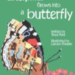 How A Caterpillar Grows Into A Butterfly