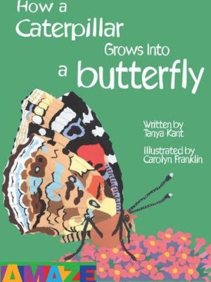 How A Caterpillar Grows Into A Butterfly