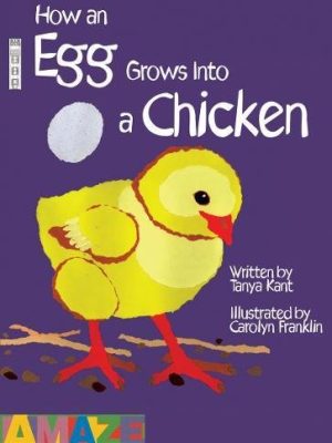 How An Egg Grows Into A Chicken