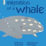 The Migration Of A Whale