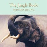 Macmillan Collector's Library: The Jungle Book