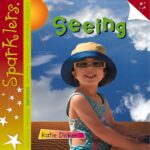 Seeing: Sparklers - Senses