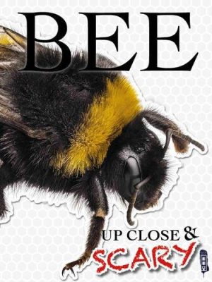 Up Close and Scary Bee
