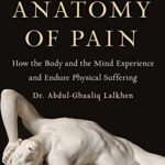 An Anatomy Of Pain