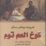 كوخ العم توم - رواية