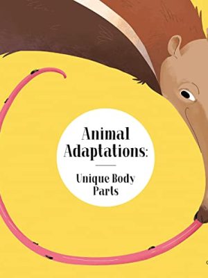 Animal Adaptations: Unique Body Parts