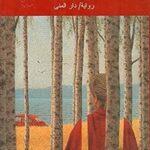 قلعة في البرينيه