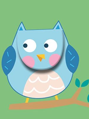 Soft Peekaboo Bedtime Book: Owl