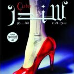 سندر سجلات القمر