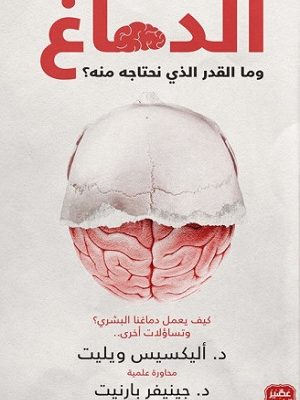 الدماغ وما المقدار الذي نحتاجه