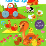 سلسلة تعلم - تعلم قوة الملاحظة