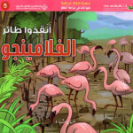 حيوانات في دوامة الخطر - انقذوا طائر الفلامينجو