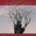 نجمة البحر أولاد الغيتو 2