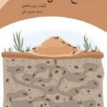 مجتمع النمل