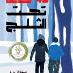 45 ساعة تحت الثلج