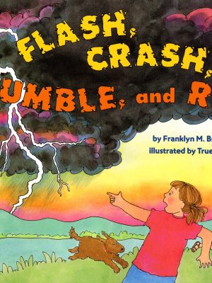 Flash, Crash, Rumble, and Roll