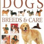 Anness: Ultimate Encyclopedia of Dogs - Breeds & Care