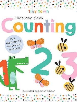 Hide-and-Seek Counting