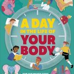 A Day in the Life of Your Body