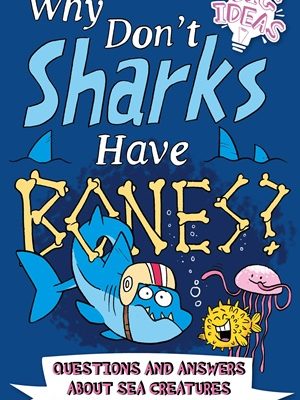Why Don't Sharks Have Bones?